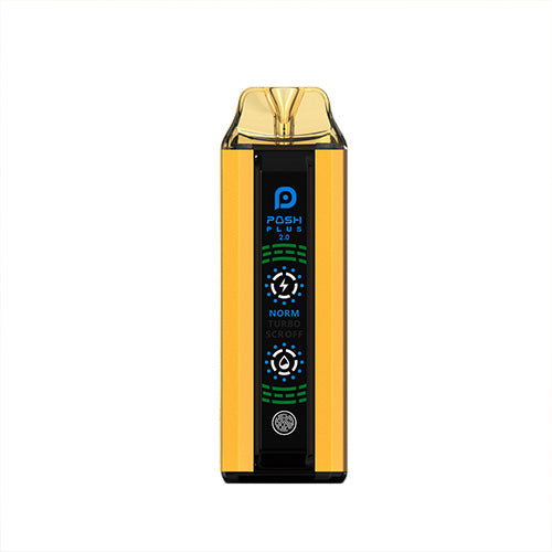 Posh Plus 2.0 - Dragon Berry Dream, disposable vape